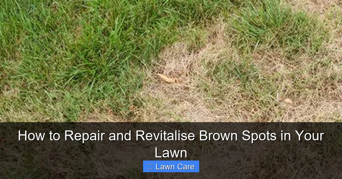 How to Repair and Revitalise Brown Spots in Your Lawn