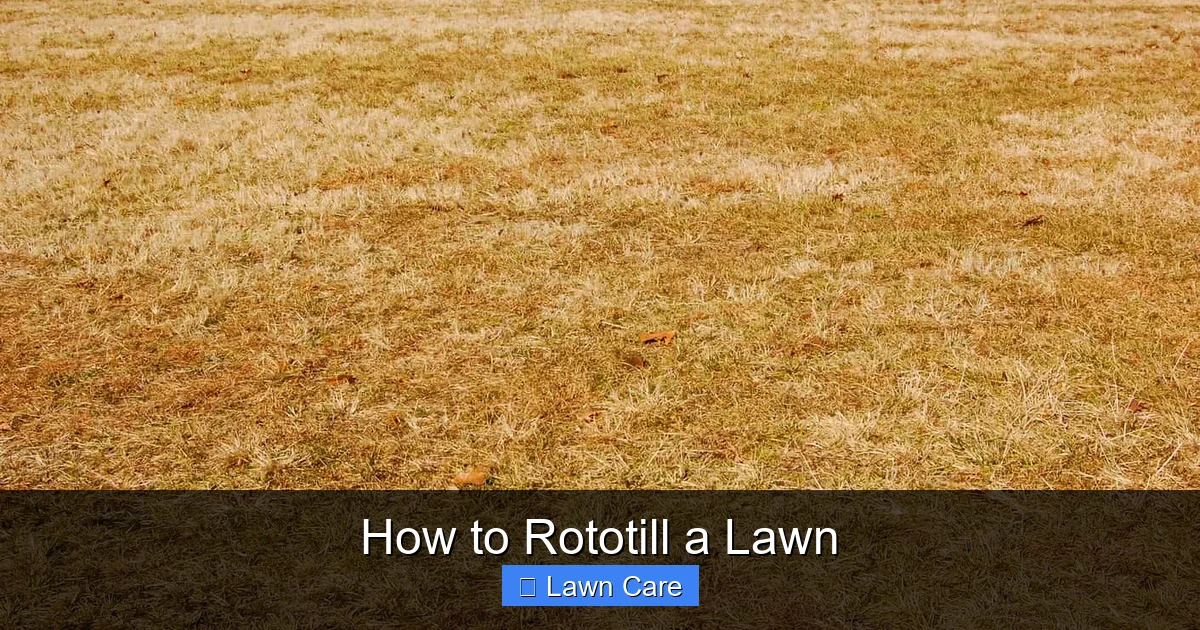 How to Rototill a Lawn