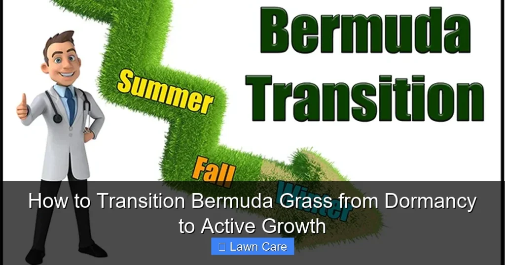 How to Transition Bermuda Grass from Dormancy to Active Growth