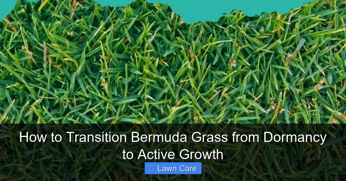 How to Transition Bermuda Grass from Dormancy to Active Growth