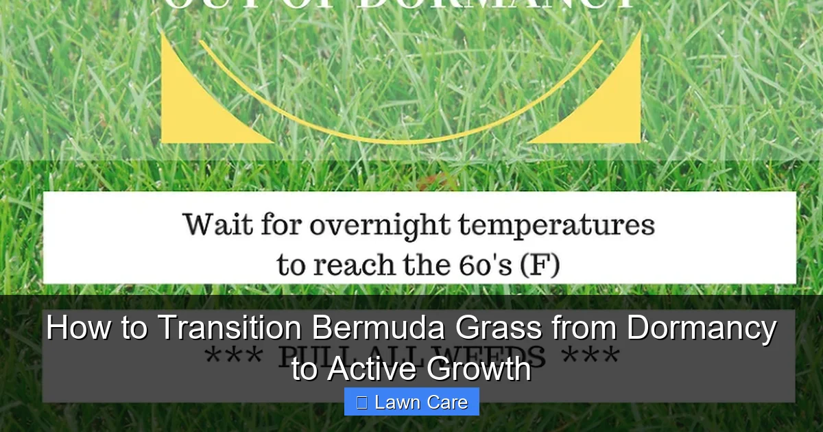 How to Transition Bermuda Grass from Dormancy to Active Growth