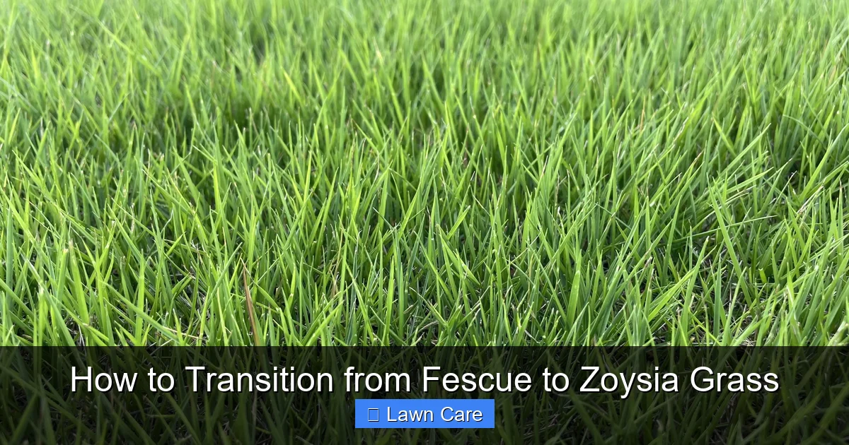 How to Transition from Fescue to Zoysia Grass