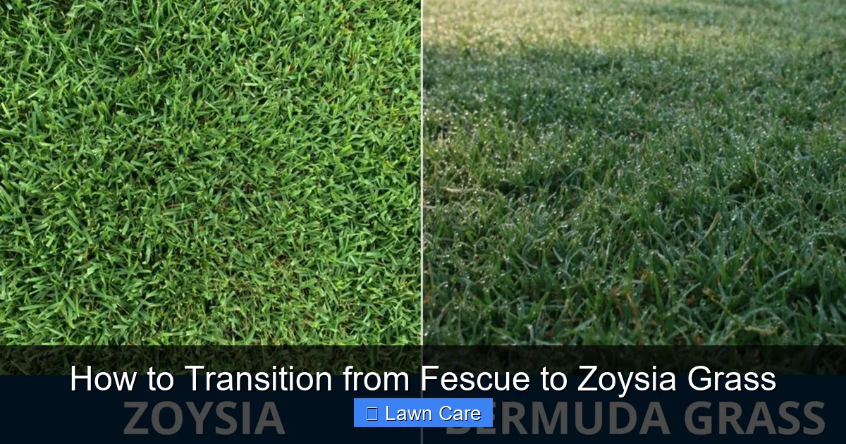 How to Transition from Fescue to Zoysia Grass