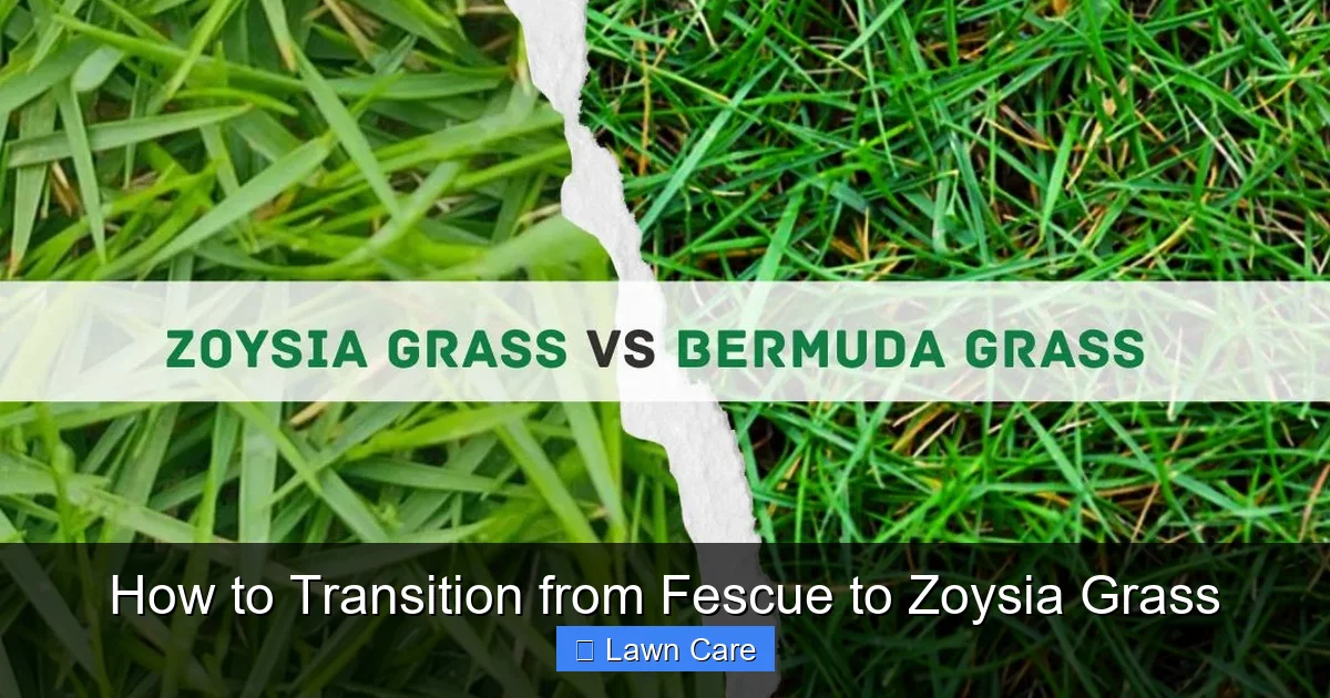 How to Transition from Fescue to Zoysia Grass