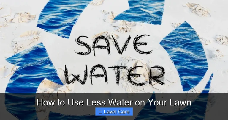 How to Use Less Water on Your Lawn