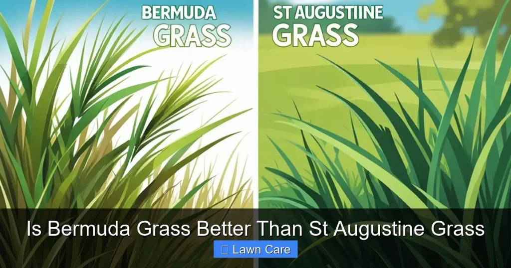 Is Bermuda Grass Better Than St Augustine Grass