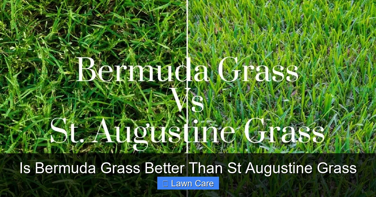 Is Bermuda Grass Better Than St Augustine Grass