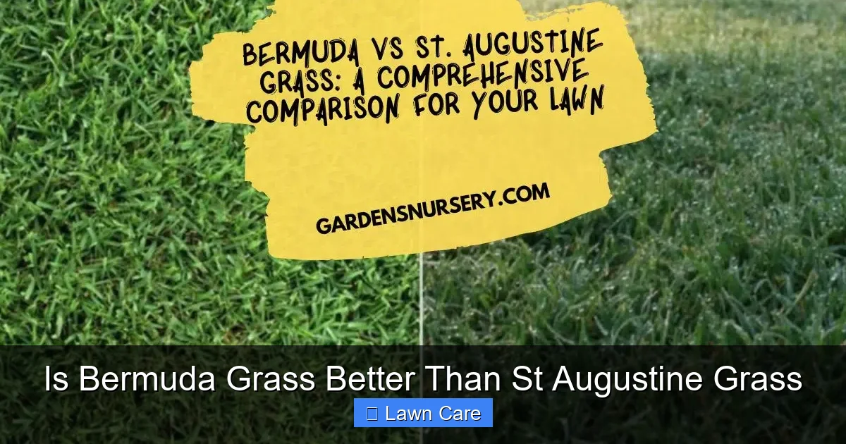 Is Bermuda Grass Better Than St Augustine Grass
