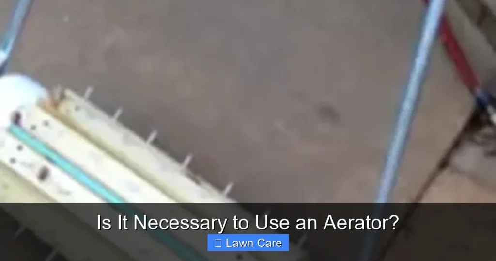 Is It Necessary to Use an Aerator?