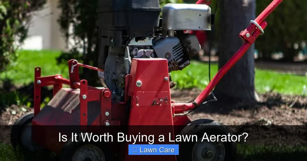 Is It Worth Buying a Lawn Aerator?