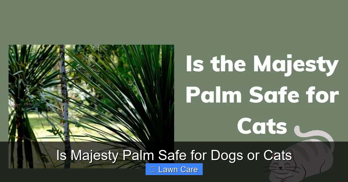 Is Majesty Palm Safe for Dogs or Cats
