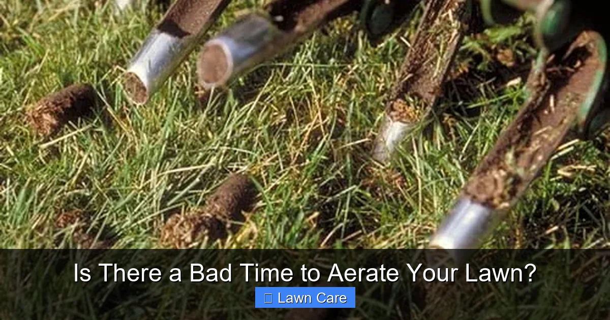 Is There a Bad Time to Aerate Your Lawn?