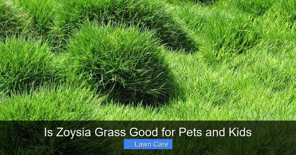Is Zoysia Grass Good for Pets and Kids