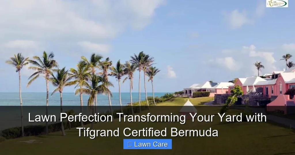 Lawn Perfection Transforming Your Yard with Tifgrand Certified Bermuda