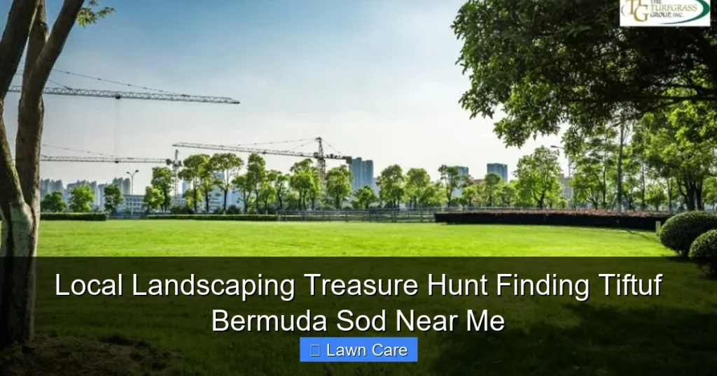 Local Landscaping Treasure Hunt Finding Tiftuf Bermuda Sod Near Me