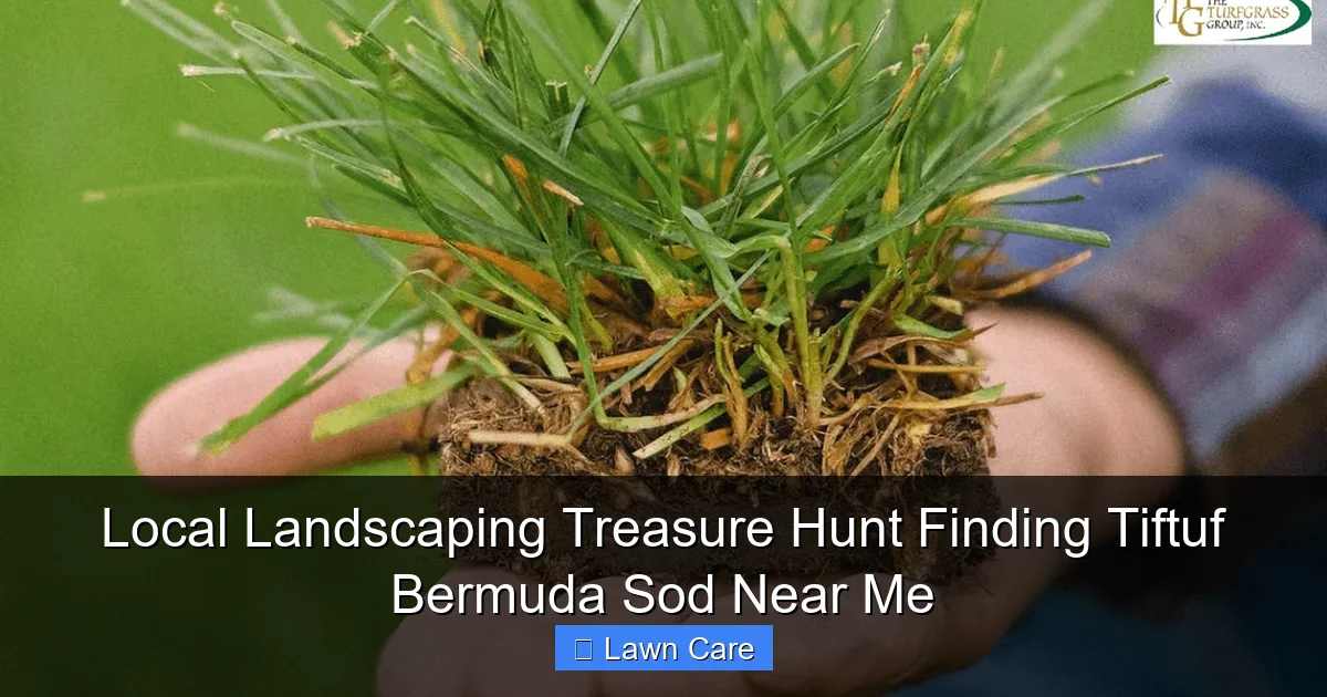 Local Landscaping Treasure Hunt Finding Tiftuf Bermuda Sod Near Me