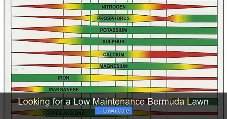 Looking for a Low Maintenance Bermuda Lawn