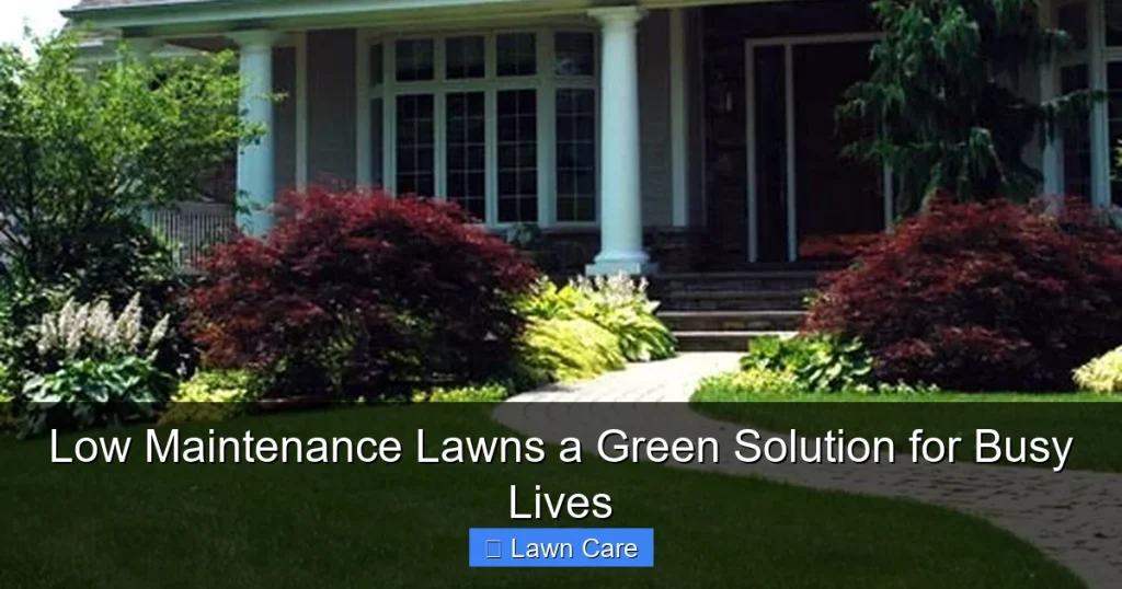 Low Maintenance Lawns a Green Solution for Busy Lives
