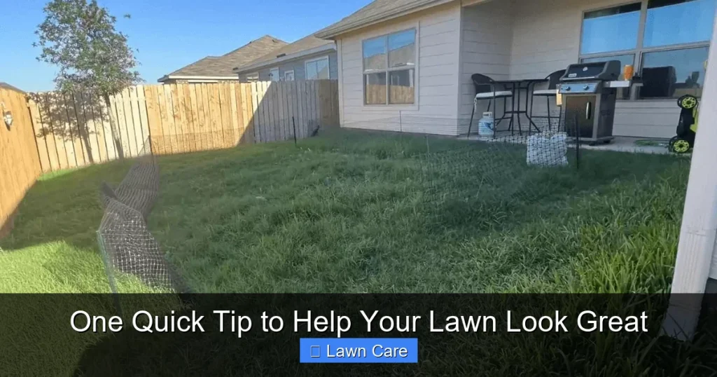 One Quick Tip to Help Your Lawn Look Great
