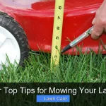 Our Top Tips for Mowing Your Lawn