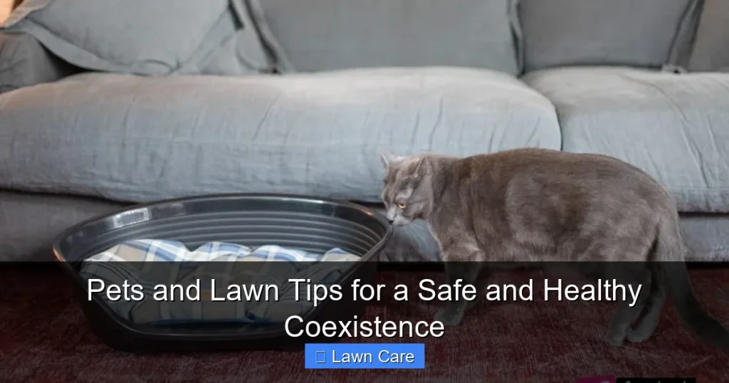 Pets and Lawn Tips for a Safe and Healthy Coexistence