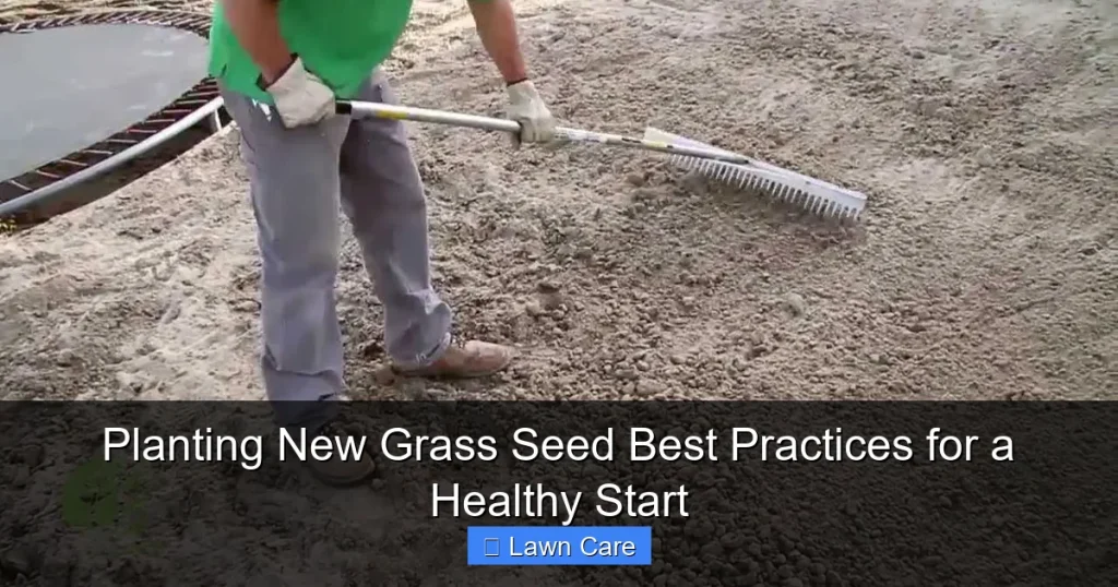 Planting New Grass Seed Best Practices for a Healthy Start