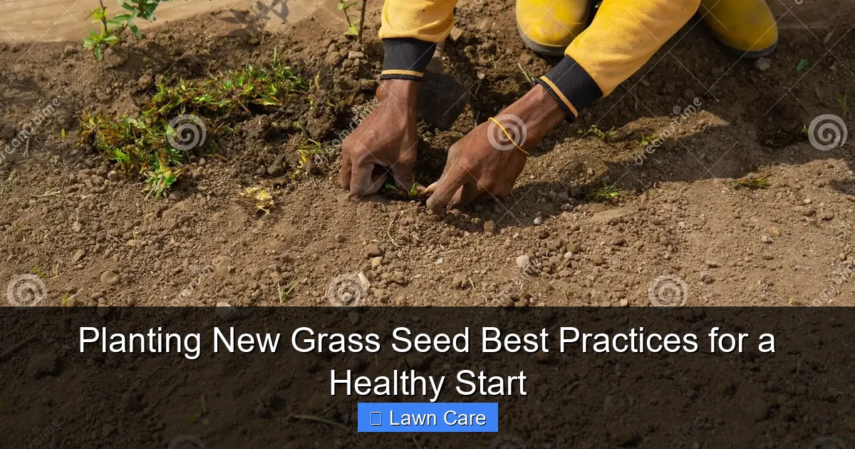 Planting New Grass Seed Best Practices for a Healthy Start