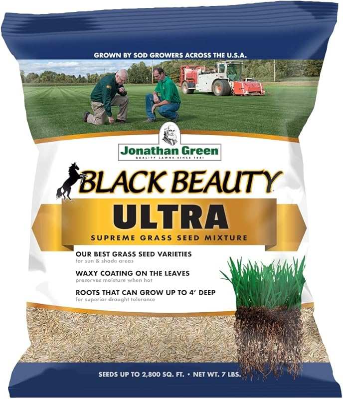 Jonathan Green Black Beauty Ultra Cool Season Grass Seed for Lush, Hea
