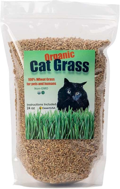 Organic Non-GMO Wheatgrass Cat Grass Seeds for Pets & Humans, Sprouts,