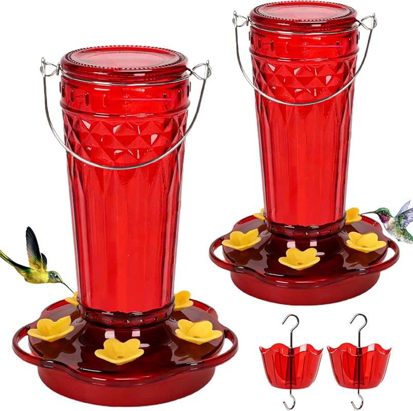 2-Pack Glass Hummingbird Feeders: 14oz Each, 5 Feeding Ports, Wide Mou