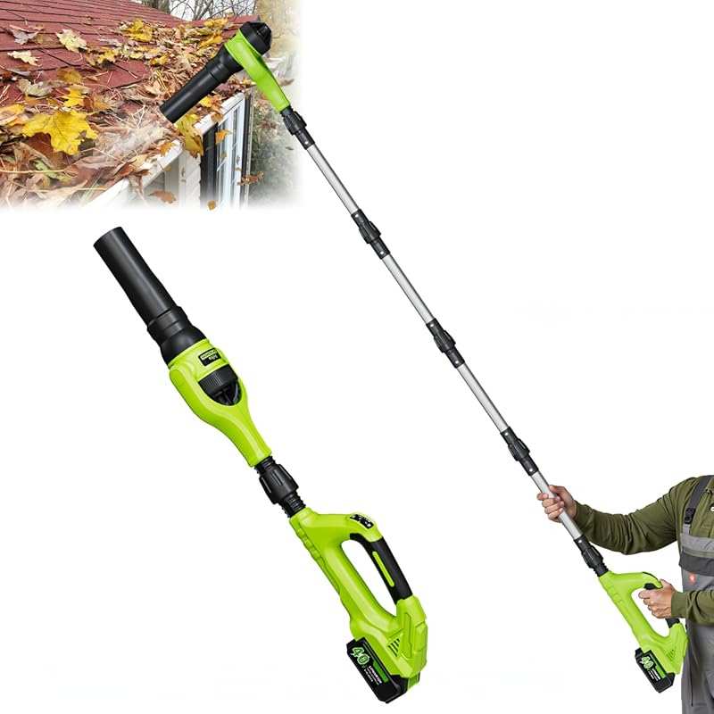 Cordless 40V Leaf Blower with 2 Batteries, 580CFM, Adjustable Pole for