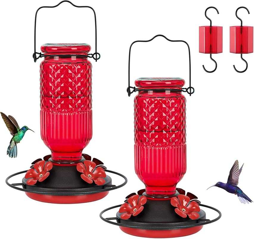 FEED GARDEN 16oz Glass Hummingbird Feeders (2 Pack) with 4 Bee Guard P