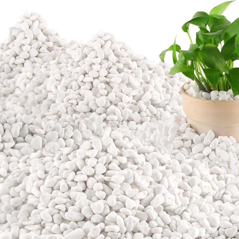 45LB Natural White Rocks: Small 1/4