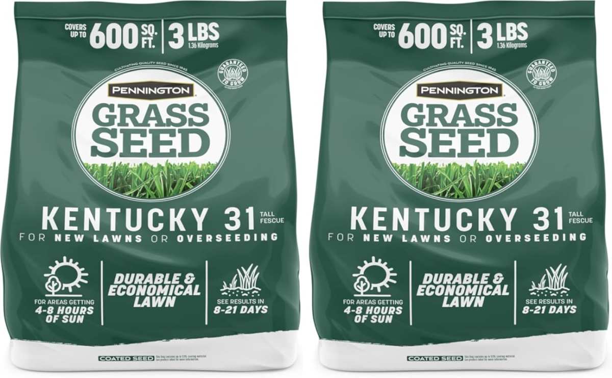 Pennington Kentucky 31 Tall Fescue Penkoted Grass Seed, 2 x 3 lb Bags 