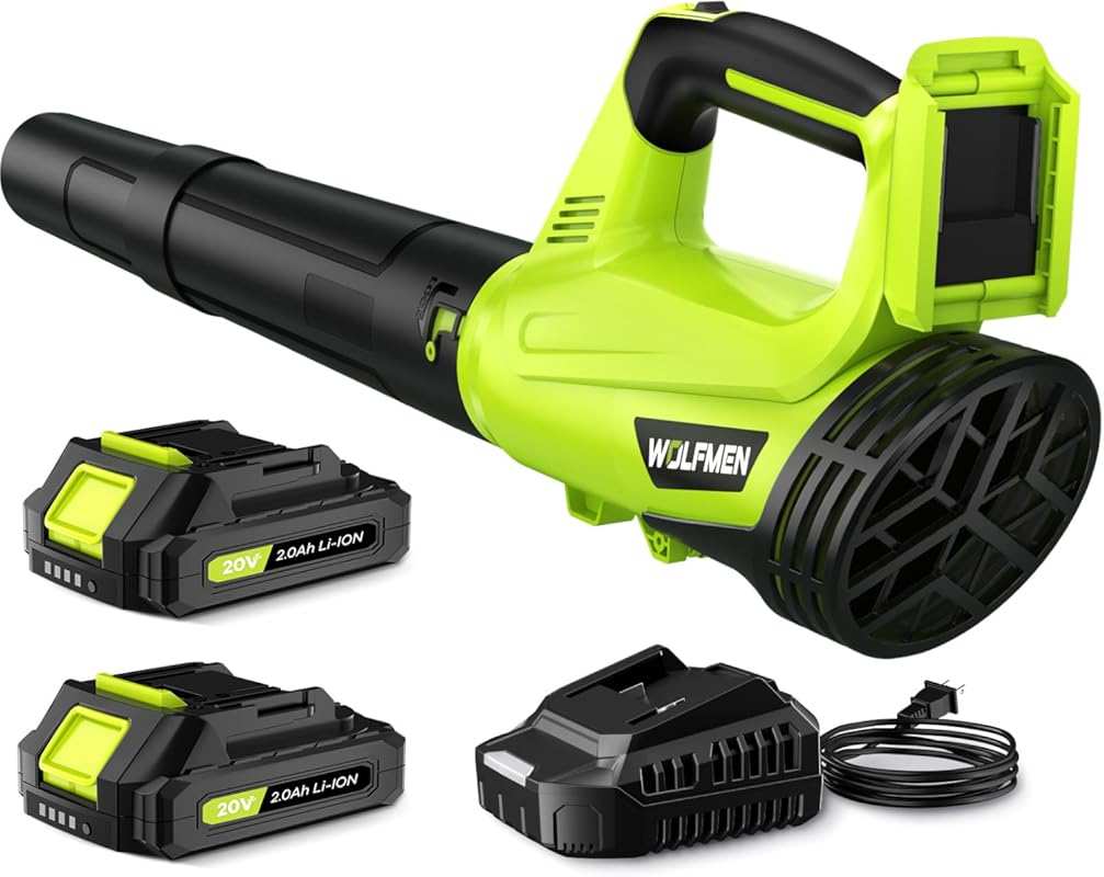 Powerful Cordless Electric Leaf Blower: 2 Batteries, 2 Speed Modes, Li