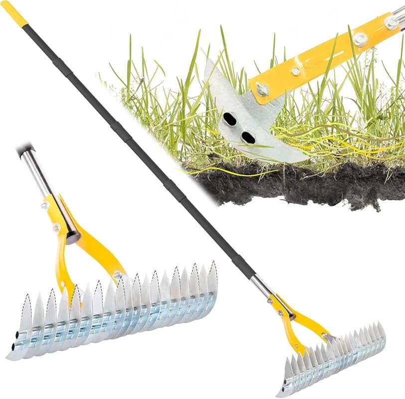Heavy Duty Thatch Rake for Lawn with 74-Inch Handle for Efficient Deth