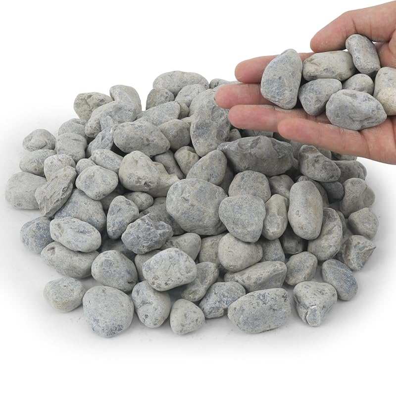 5LB Natural Grey Gravel: Large 0.8
