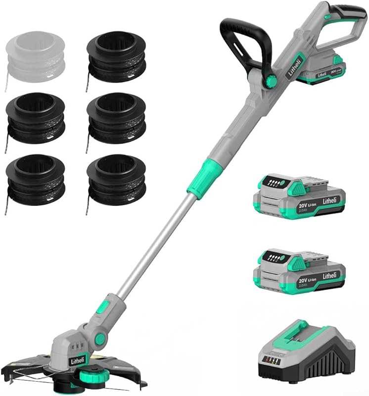 Litheli 20V Cordless String Trimmer/Edger with 2x2.0Ah Battery, Auto-F