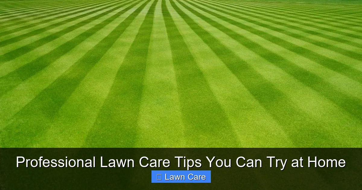 Professional Lawn Care Tips You Can Try at Home