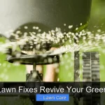 Quick Lawn Fixes Revive Your Green Oasis
