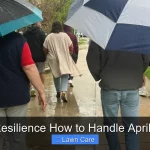 Rainfall Resilience How to Handle April Showers