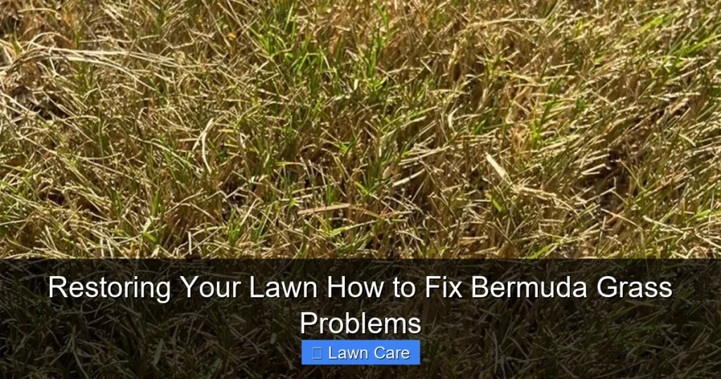 Restoring Your Lawn How to Fix Bermuda Grass Problems