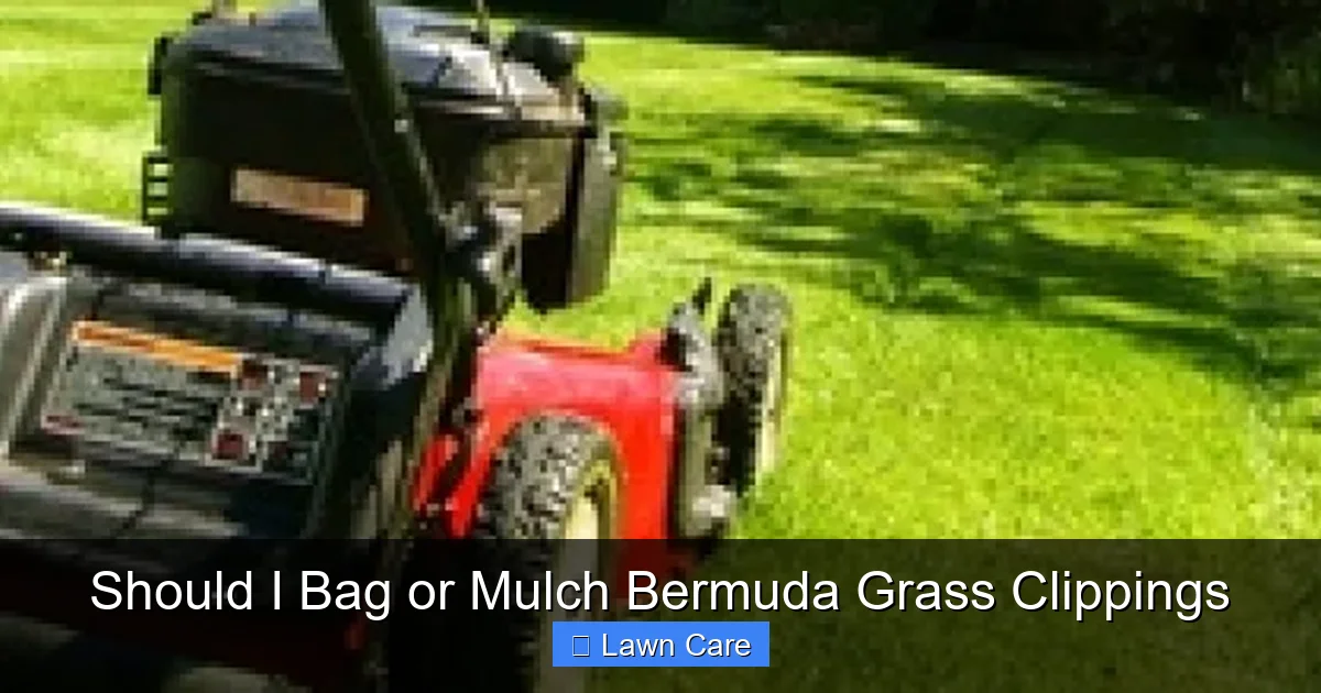 Should I Bag or Mulch Bermuda Grass Clippings