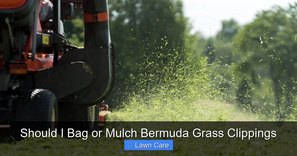 Should I Bag or Mulch Bermuda Grass Clippings