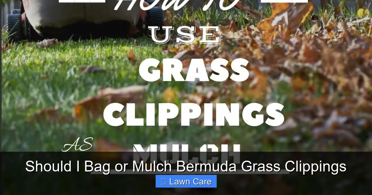 Should I Bag or Mulch Bermuda Grass Clippings
