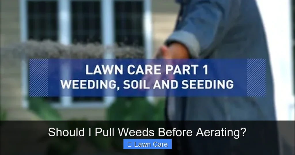 Should I Pull Weeds Before Aerating?