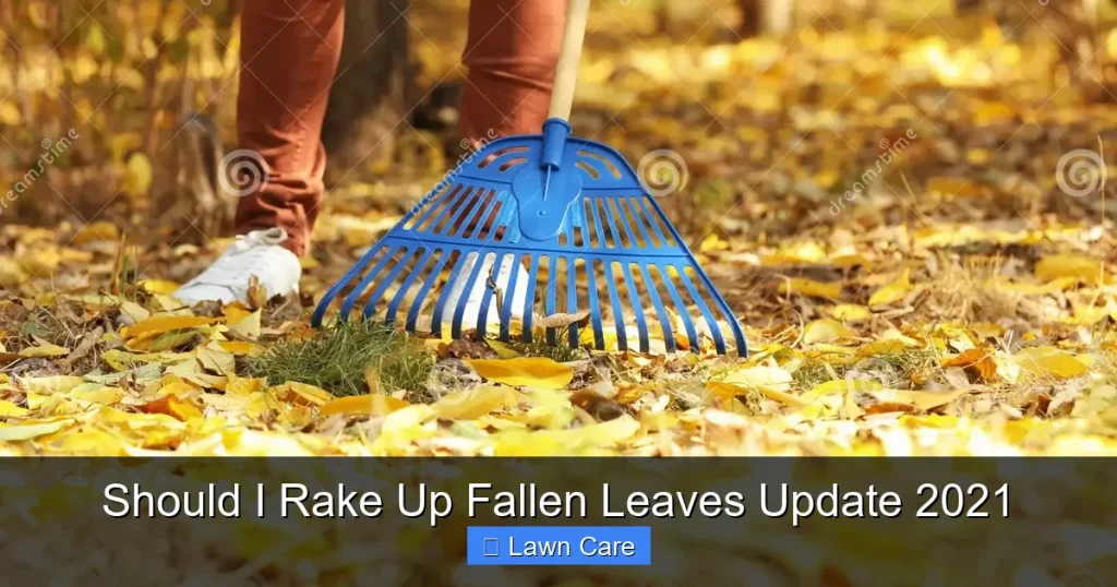 Should I Rake Up Fallen Leaves Update 2021