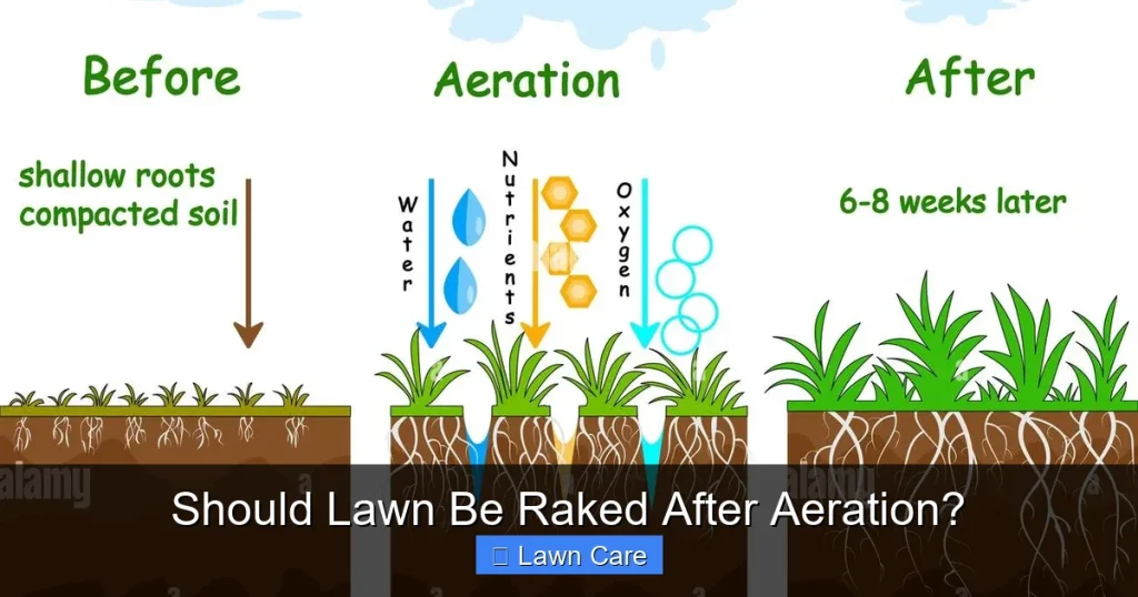 Should Lawn Be Raked After Aeration?