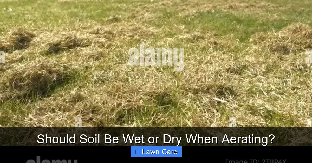 Should Soil Be Wet or Dry When Aerating?