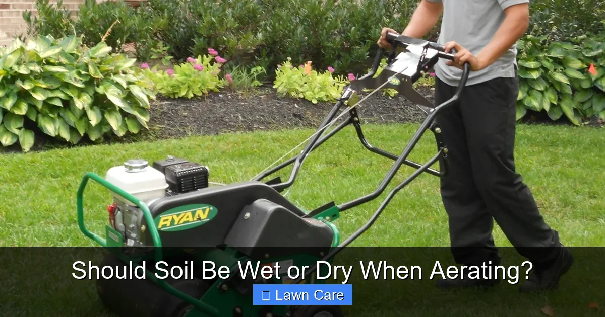 Should Soil Be Wet or Dry When Aerating?